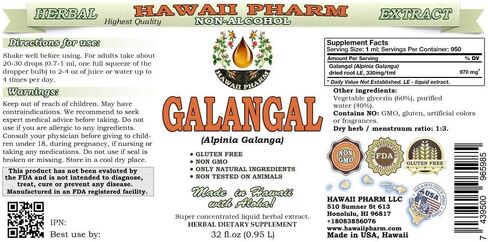 Hawaii Pharm Galangal Root Alcohol-FREE Liquid Extract, Organic Organic Galangal (Alpinia Galangal) Dried Root Glycerite Natural Herbal Supplement 2 oz in Saudi Arabia