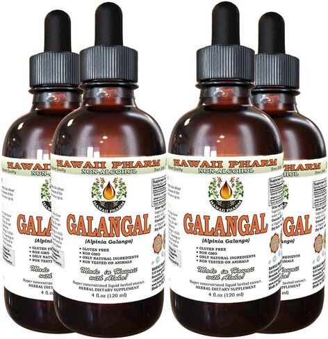 Hawaii Pharm Galangal Root Alcohol-FREE Liquid Extract, Organic Organic Galangal (Alpinia Galangal) Dried Root Glycerite Natural Herbal Supplement 2 oz in Saudi Arabia
