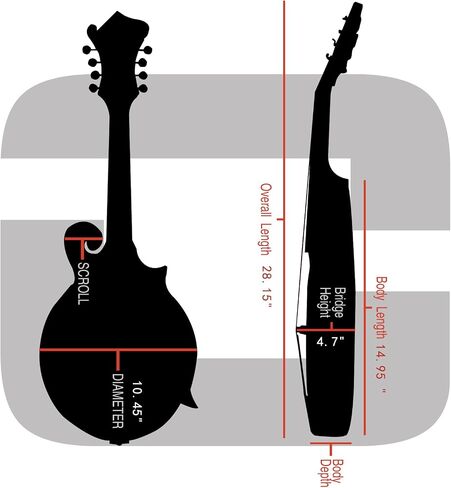 Crossrock Fiberglass F-Style Mandolin Case, with Accessory Compartment, Backpack Straps, TSA Lock-Mint Blue (CRF2020MFMB) in Saudi Arabia