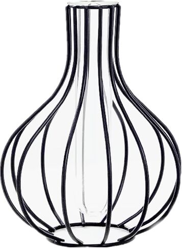 Nordic Simple Glass Clear Vase with Iron Art Frame for Hydroponic Planter, Metal Flower Vase Test Tube Pot Decorative Bottles Centerpieces for Wedding Home Décor (Black,Gourd) in Saudi Arabia