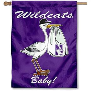 College Flags & Banners Co. Northwestern Wildcats New Baby Born Banner Flag