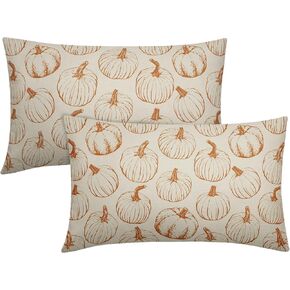 Fall Pillow Covers 18x18 Set of 2 Burnt Orange Pumpkin Autumn Thanksgiving Harvest Decorative Throw Pillows Outdoor Cushion Case Sofa Couch Bed Decor