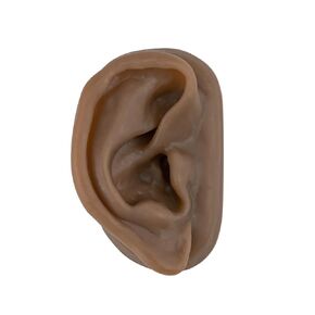 SimCoach Acupuncture Ear Model, Right Artificial Ear Replica for Auricular Therapy Teaching, Piercing Practice, Hearing Aids, Jewelry Display (Brown)