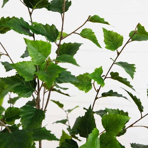 Nearly Natural 6ft. Artificial Birch Tree with Real Touch Leaves in Saudi Arabia