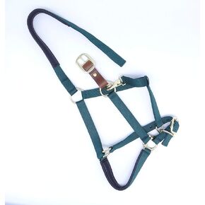 Horse Halter - Padded Nylon, Leather Breakaway, Adjustable Chin and Throat Snap - Full Horse Size