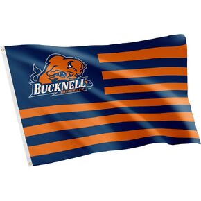 Desert Cactus Bucknell University Flag Bison Flag Banners 100% Polyester Indoor Outdoor 3x5 feet Flags (Nation)
