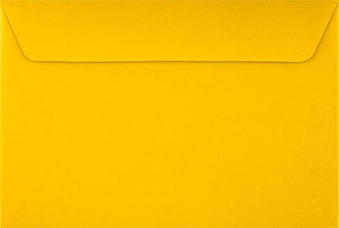 LUXPaper 6 x 9 Booklet Envelopes | Mandarin Orange | 80lb. Text | 50 Qty in Saudi Arabia