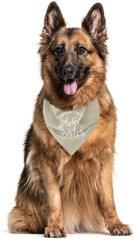 Big Sister Bandana for Dog, Dog Bandana Pregnancy Announcement, Dog Scarf, Dog Pregnancy Announcement, Wine Red Dog Bandana, Dog Bandana for Small Medium Large Dogs (A83) in Saudi Arabia