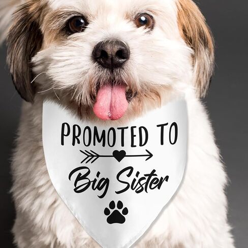 Soon to Be Big Sister Dog Bandana Pregnancy Announcement Dog Bandana Pet Scarf Pet Accessories for Pet Dog Lover Pregnancy Reveal Ideas in Saudi Arabia