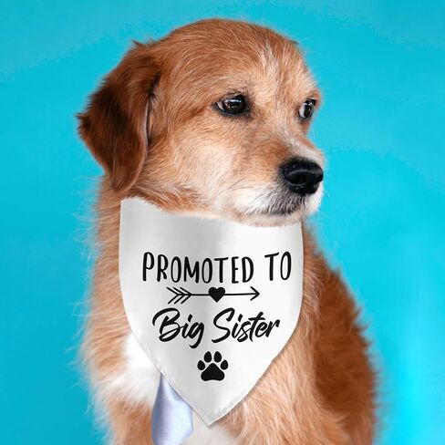 Soon to Be Big Sister Dog Bandana Pregnancy Announcement Dog Bandana Pet Scarf Pet Accessories for Pet Dog Lover Pregnancy Reveal Ideas in Saudi Arabia