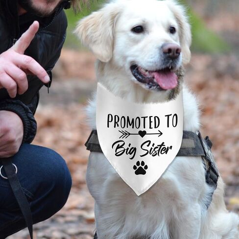Soon to Be Big Sister Dog Bandana Pregnancy Announcement Dog Bandana Pet Scarf Pet Accessories for Pet Dog Lover Pregnancy Reveal Ideas in Saudi Arabia