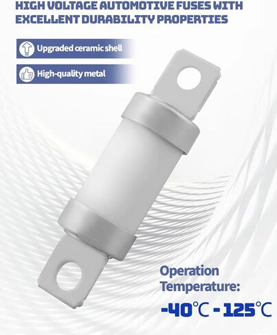 لـ PEC 125A الطاقة الجديدة ذات الجهد العالي فيوز السيارات المناسب لـ DC450V BC2000A in Saudi Arabia