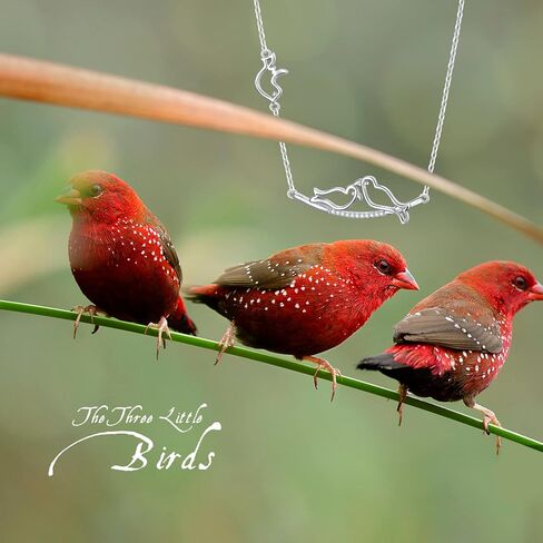 Ladytree S925 Sterling Silver Dainty Simple Animal 3 Birds Mother and Child CZ Choker Necklace,Rolo Chain,16+2 inches, Sterling Silver, Cubic Zirconia in Kuwait