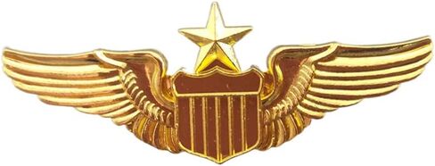 Jilukibo Metal Aviator Wings Pin, Naval Senior Pilot Gold Wing Pilot Badge Label Pin in Saudi Arabia
