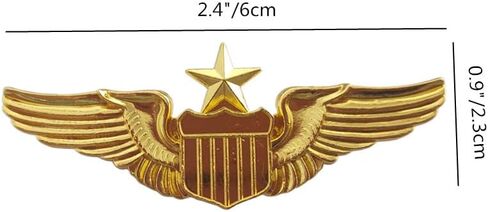 Jilukibo Metal Aviator Wings Pin, Naval Senior Pilot Gold Wing Pilot Badge Label Pin in Saudi Arabia