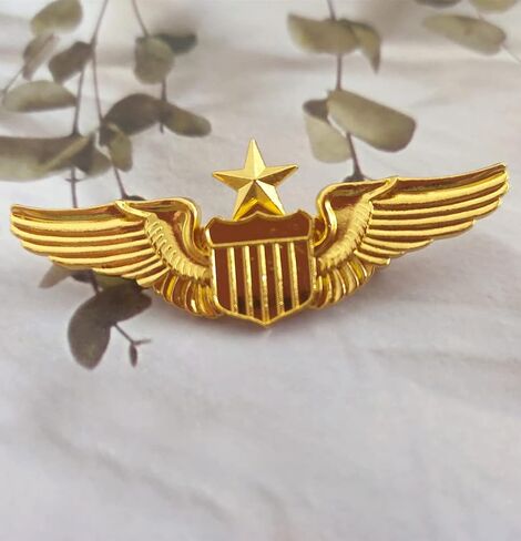 Jilukibo Metal Aviator Wings Pin, Naval Senior Pilot Gold Wing Pilot Badge Label Pin in Saudi Arabia