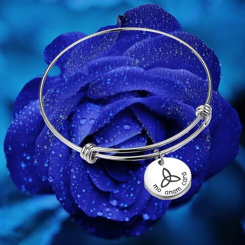 Mo ANAM Cara Necklace Iris Celtic Soul Mate Necklace BFF Gift for Her in Saudi Arabia
