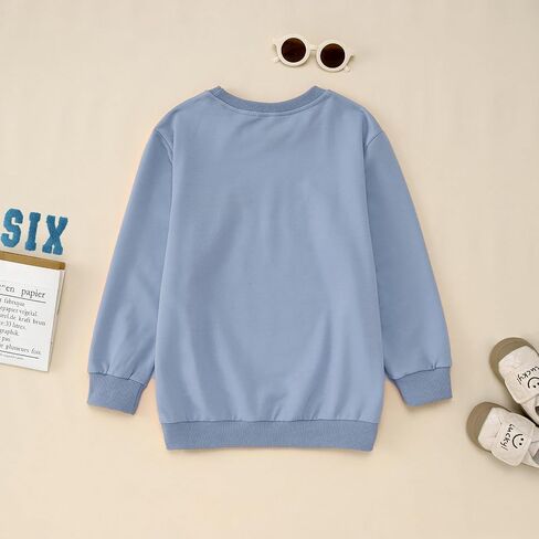 Birthday Sweatshirts for Toddler Baby Boys Girls One-Seven Embroidery Letter Party Outfits Shirts Fall Tops in Saudi Arabia