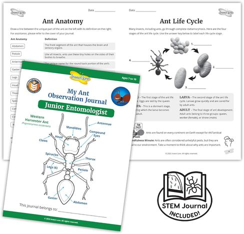 Insect Lore Two Tubes of Live Ants | 50 Live Harvester Ants | with Ant Life Cycle Stages Figurines in Saudi Arabia