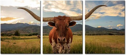 iKNOW FOTO Farm Animals Art Prints Black and White Highland Cattle with Long Horns Picture Printed on Canvas Painting for Home Decor Modern Living Room Decorations 12x16inchx3pcs in Saudi Arabia
