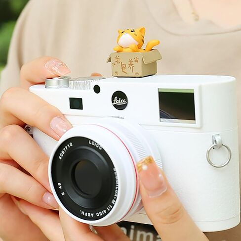 Camera Hot Shoe Cover, Cute Hot Shoe Cap, Hot Shoe Protector Compatible with Sony Fujifilm Fuji Canon Nikon Pentax Leical Panasonic (Lucky Cat) in Kuwait