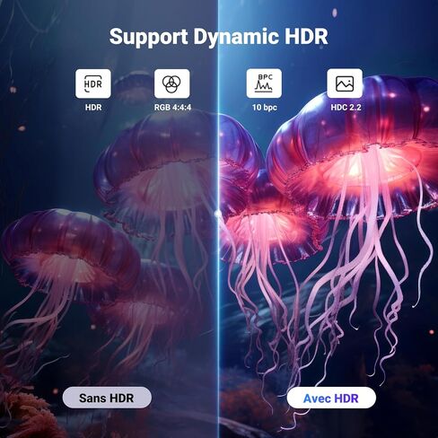 كابل UGREEN VESA 8K DisplayPort 1.4 بطول 6.6FT DP يدعم 8K@60 هرتز 4K@240 هرتز 32.4 جيجابت في الثانية، HDR، HDCP، DSC 1.2a، FreeSync، G-Sync، سلك منفذ العرض، شاشة متوافقة مع Alu Braided، رسومات، كمبيوتر شخصي، HDTV in Saudi Arabia