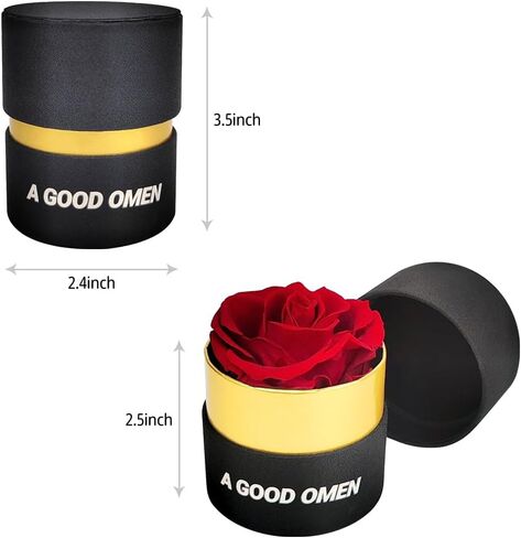 Preserved Roses,Flowers for Delivery Prime Roses in a Box ，Forever Rose Unique Gifts for WomenGifts for Mom/Girlfriend/Wife/Grandma (Blue) in Saudi Arabia