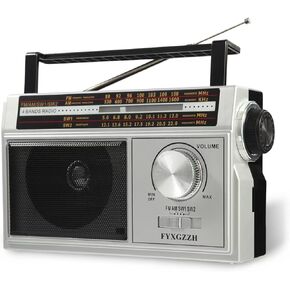 Radio Portable AM FM Shortwave - Battery Powered Rechargeable Radio or Plug in Wall, Great Sound and Strong Reception, Easy to Use, Silver