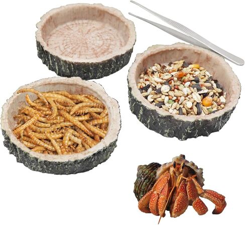 3 Pack Reptile Food Dish, Resin Hermit Crab Food & Water Bowl, Reptile Feeding Food Dish Kit, Tank or Aquarium Accessory, Suitable for Turtle Lizard Hermit Crab Snail Bearded Dragon Leopard Gecko in Saudi Arabia