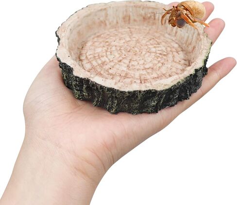 3 Pack Reptile Food Dish, Resin Hermit Crab Food & Water Bowl, Reptile Feeding Food Dish Kit, Tank or Aquarium Accessory, Suitable for Turtle Lizard Hermit Crab Snail Bearded Dragon Leopard Gecko in Saudi Arabia