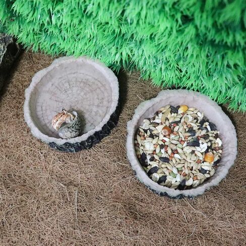 3 Pack Reptile Food Dish, Resin Hermit Crab Food & Water Bowl, Reptile Feeding Food Dish Kit, Tank or Aquarium Accessory, Suitable for Turtle Lizard Hermit Crab Snail Bearded Dragon Leopard Gecko in Saudi Arabia
