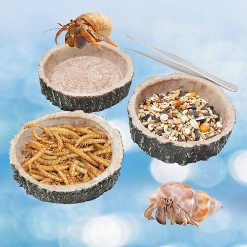 3 Pack Reptile Food Dish, Resin Hermit Crab Food & Water Bowl, Reptile Feeding Food Dish Kit, Tank or Aquarium Accessory, Suitable for Turtle Lizard Hermit Crab Snail Bearded Dragon Leopard Gecko in Saudi Arabia
