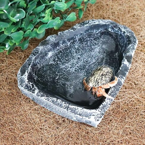 3 Pack Reptile Food Dish, Resin Hermit Crab Food & Water Bowl, Reptile Feeding Food Dish Kit, Tank or Aquarium Accessory, Suitable for Turtle Lizard Hermit Crab Snail Bearded Dragon Leopard Gecko in Saudi Arabia
