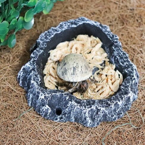 3 Pack Reptile Food Dish, Resin Hermit Crab Food & Water Bowl, Reptile Feeding Food Dish Kit, Tank or Aquarium Accessory, Suitable for Turtle Lizard Hermit Crab Snail Bearded Dragon Leopard Gecko in Saudi Arabia