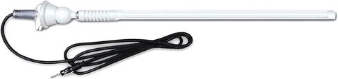 JVC Motorsports 2.7 بوصة شاشة بلوتوث خلفية USB/AUX AM/FM/Weatherband راديو الوسائط الرقمية، جهاز تحكم عن بعد سلكي، هوائي ساري مرن أبيض، هوائي سلكي، كاميرا الرؤية الخلفية in Saudi Arabia