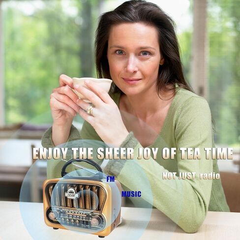 Portable AM FM Radios, Transistor Shortwave Retro Vintage Radios with Loud Speakers, Support USB Power Or D Battery(Champagne Gold) in Saudi Arabia
