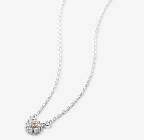 قلادة بريان أنتوني بلوم داينتي فضية/شفافة in Kuwait