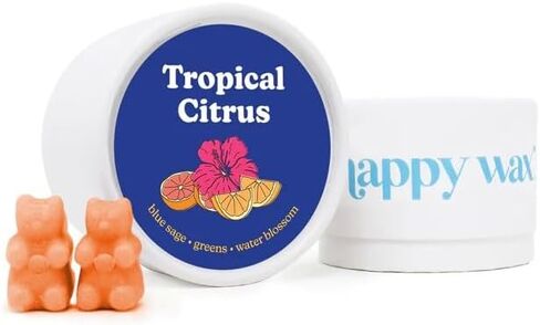 Happy Wax Amalfi Scented Bear Wax Melts - Natural Strong Scented Summer Wax Melts Infused w/Essential Oils - Non Toxic Wax Melt & Pet Safe Wax Melts - (4 oz Tin) in Kuwait
