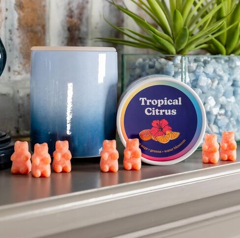 Happy Wax Amalfi Scented Bear Wax Melts - Natural Strong Scented Summer Wax Melts Infused w/Essential Oils - Non Toxic Wax Melt & Pet Safe Wax Melts - (4 oz Tin) in Kuwait
