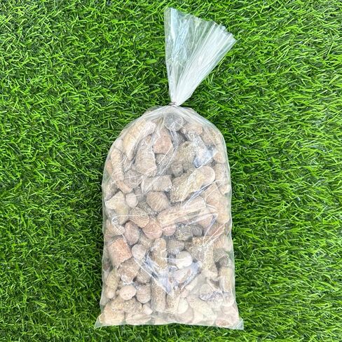 Fossil Mix | 1 lb Bag of Genuine Fossils | Ammonites Crinoids Brachiopods Orthoceras & More! Fossil Dig Dinosaur Party Favors in Saudi Arabia