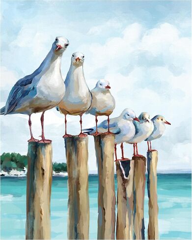 SUMGAR DIY Paint by Numbers Kit for Adults Beginner Seagull Blue Sea Paint by Numbers 16x20 Inch Without Frame Realistic Acrylic Oil Painting Drawing Craft Work Set with Brushes Christmas Gift in Kuwait