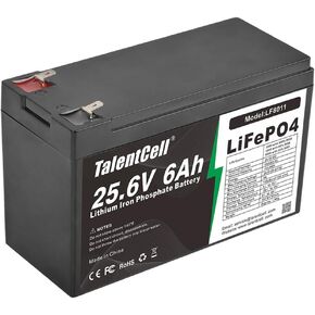 Talentcell 24V 6Ah LiFePO4 Battery Pack LF8011, 25.6V 153.6Wh Deep Cycle Rechargeable Lithium Iron Phosphate Batteries