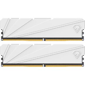 Netac DDR4 DRAM 32GB Kit16GBx2 C16 3200MHz XMP 2.0 ذاكرة الوصول العشوائي ثنائية القناة (PC4-25600) 1.35V 288-Pin مشتت حرارة ألومنيوم مطور مثالي لترقية كمبيوتر الألعاب - Shadow S