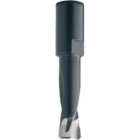 CMT 380.121.11 Bit for Domino Jointing Machines by Festool DF700, 12mm (15/32-Inch), M8x1mm Shank