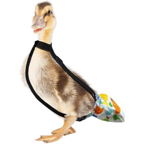 Duckling Diapers for Baby Ducks Pet Ducks 1 to 2 lbs 3 Weeks to 4 Weeks of Age Baby Duck Diapers Baby Gosling Diapers