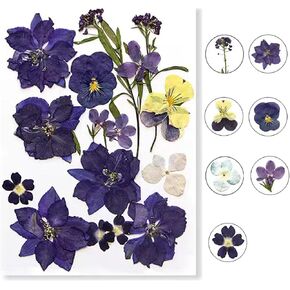 Flowers for Resin Model, Real Pressed Flowers Dry Leaves Bulk Natural Herbs Kit for Scrapbooking DIY Art Crafts, Epoxy Jewelry, Candle, Soap Making, Nails Decor (Colorful)