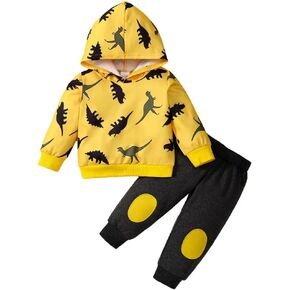 Baby Boy Clothes Toddler Boys Fall Winter Outfits Dinosaur Print Hoodie Tops Sweatsuit Pants Set