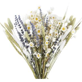 Dried Daisy Flowers Bouquet Natural Lavender Bundles Dried Gerber Daisies Craspedia Flowers Dried Daisies Multicolor Floral Arrangements for Wedding Party Table Centerpiece Decor Farmhouse DIY