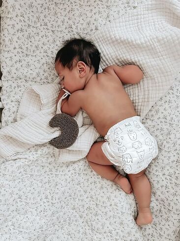 PARASOL Clear+Dry Disposable Diapers | RashShield Protection, Leakproof Design, Hypoallergenic Diaper Set | Size 4, (20-32 lbs) 216 Count in Saudi Arabia