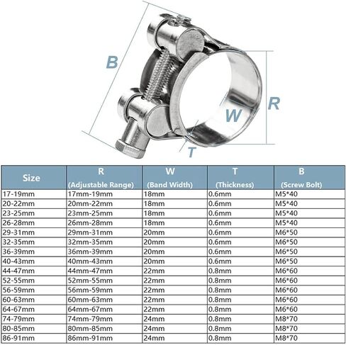 29-31mm T-Bolt Hose Clamps, Adjust Tube Clamps 304 Stainless Steel Heavy Duty Pipe Tube Clamps (4 Pcs) in Kuwait